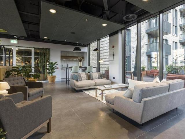 4 bedroom apartment to rent