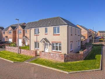 Dunfermline, Fife county, Shetland - Garden