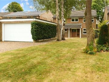 Riddlesdown, CR8, South Croydon - Garden