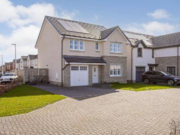 Dunfermline, Fife county, Shetland - Garden