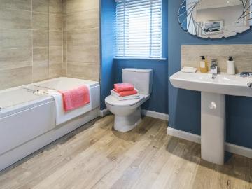 Aberdeen, Aberdeen And Grampian - Garden