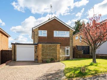 Mid Sussex, East Sussex county, Sussex