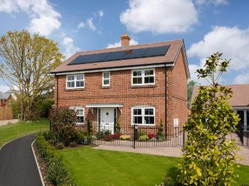 Arun, West Sussex county, Sussex - Garden