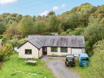 Aberdovey, Gwynedd county, Wales - Garden