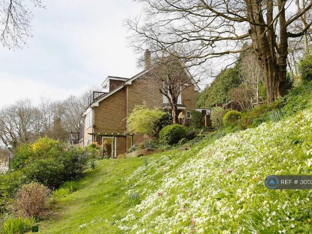4 bedroom detached house to rent