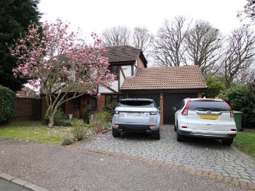Horsham, West Sussex county, Sussex - Garden