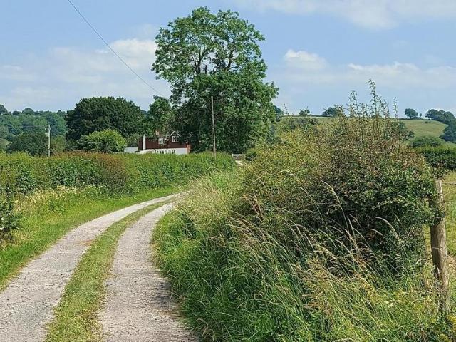 4 bedroom detached house to rent