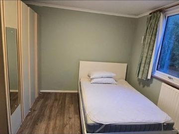 Edmonton, London, Greater London - Garden