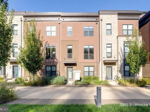 4 bedroom, Fairfax VA 22031 106166235