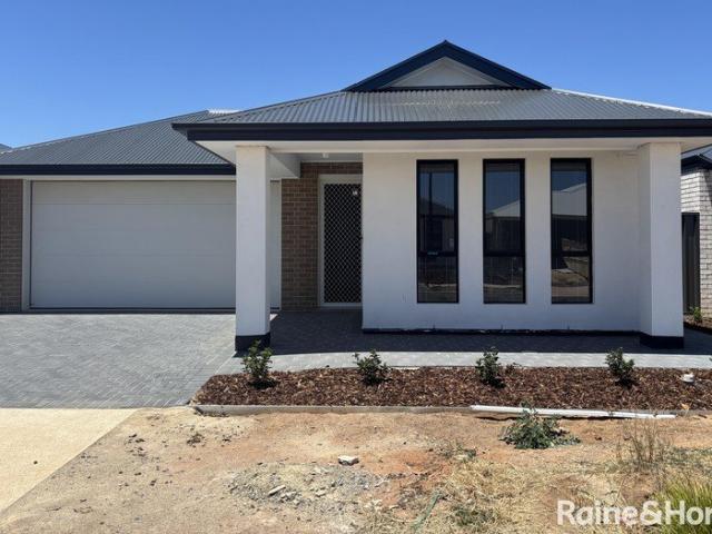 4 Bedroom Family Home to Rent!