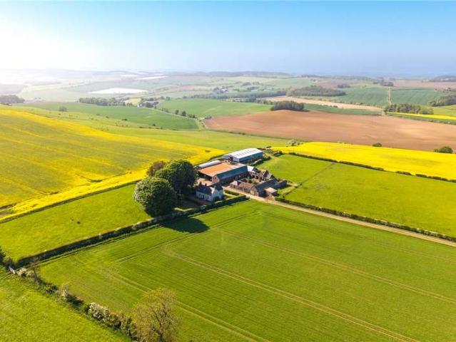 4 Bedroom Farm Commercial