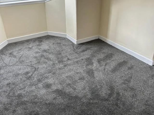 4 bedroom flat to rent