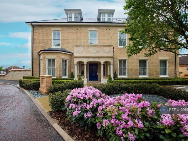 4 bedroom flat to rent