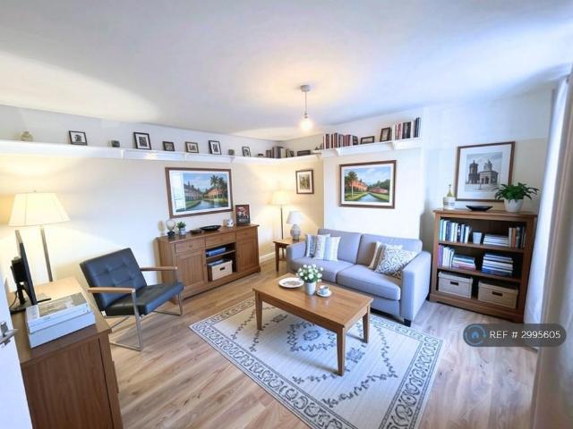 4 bedroom flat to rent