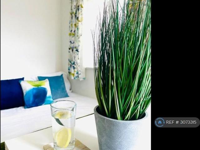 4 bedroom flat to rent