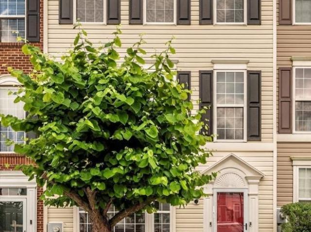 4 bedroom, Frederick MD 21703 105921366