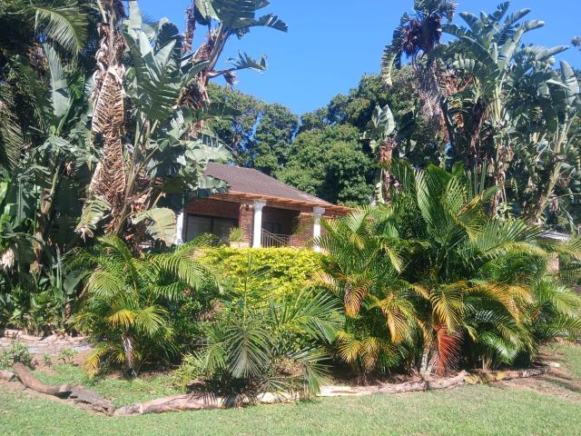 4 Bedroom Freestanding To Let in Mtunzini