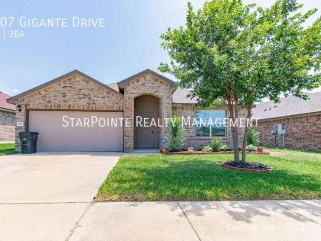 4 bedroom, Killeen TX 76543 104575329