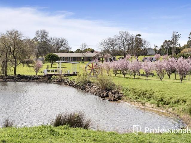 4 Bedroom House Coldstream VIC 105971974
