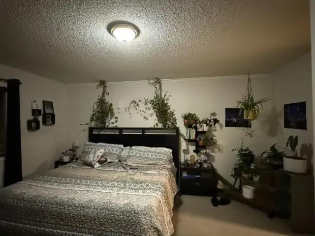 4 Bedroom House Calgary AB 105623574