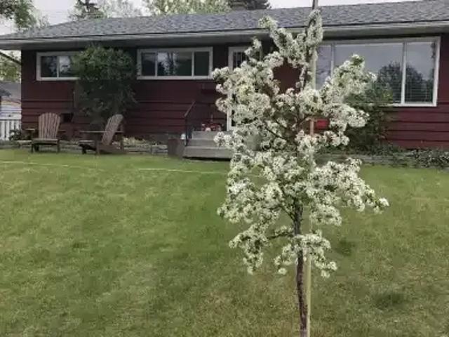 4 Bedroom House Calgary AB 105226701