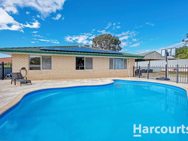 4 Bedroom House Clarkson WA 106009313
