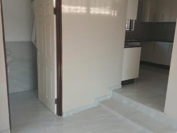 Cress Lawn, City of Ekurhuleni Metropolitan Municipality, Gauteng, South Africa