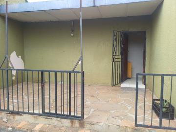 Cress Lawn, City of Ekurhuleni Metropolitan Municipality, Gauteng, South Africa