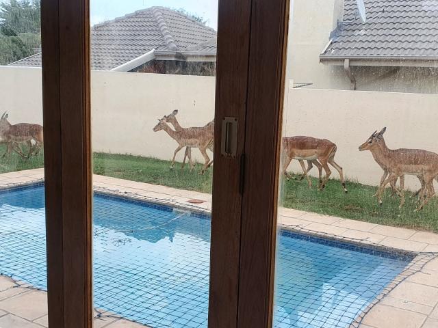4 Bedroom House For Sale in Koro Creek Golf Estate