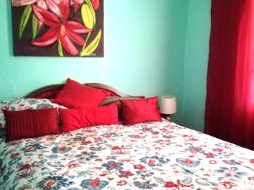 Knysna Local Municipality, Garden Route District Municipality, Western Cape