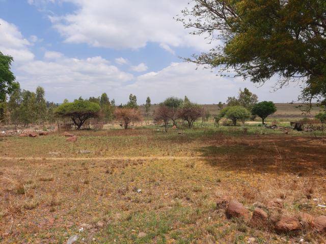 4 Bedroom House For Sale in Onderstepoort