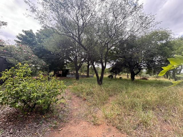 4 Bedroom House For Sale in Phalaborwa