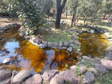 4 Bedroom House For Sale in Thabazimbi Rural