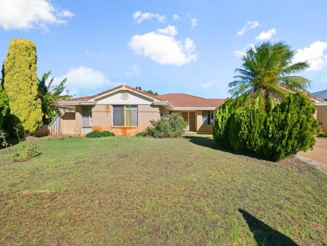 4 Bedroom House Kardinya, WA 103182460