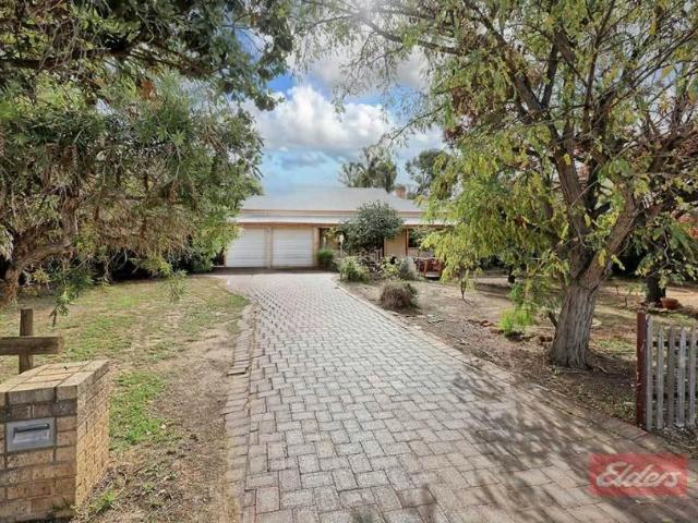4 Bedroom House Narrogin WA 105934159