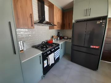 Lombardy East, City of Ekurhuleni Metropolitan Municipality, Gauteng, South Africa