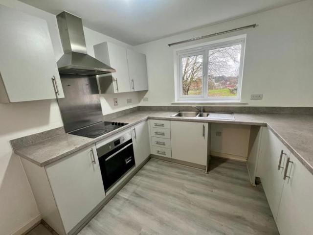 4 bedroom house to rent