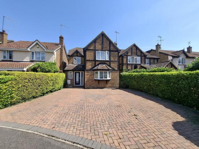 4 bedroom house to rent
