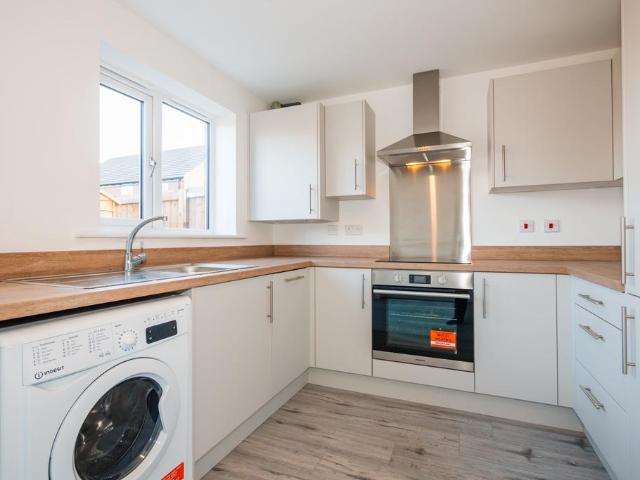 4 bedroom house to rent