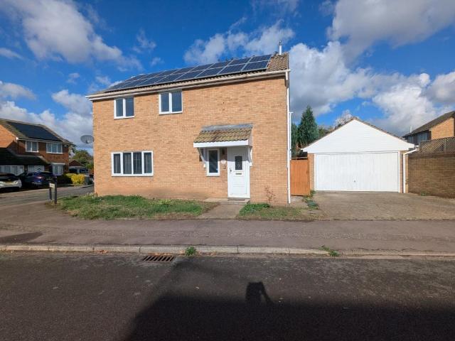 4 bedroom house to rent