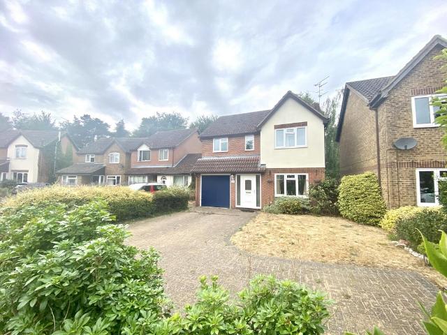 4 bedroom house to rent
