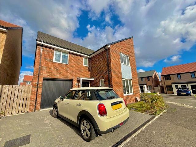 4 bedroom house to rent