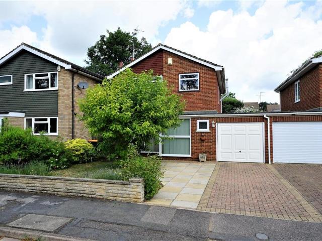 4 bedroom house to rent