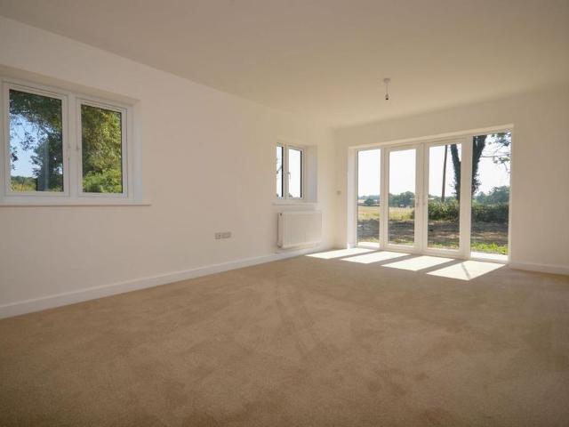 4 bedroom house to rent