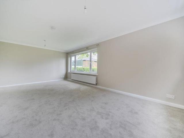 4 bedroom house to rent