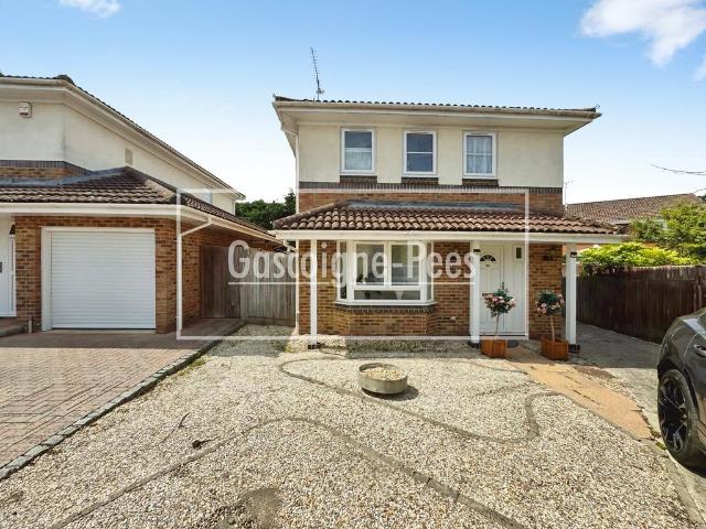 4 bedroom house to rent