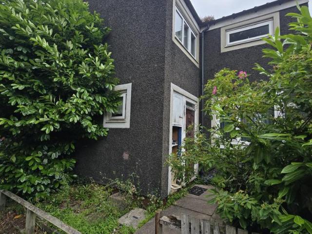 4 bedroom house to rent