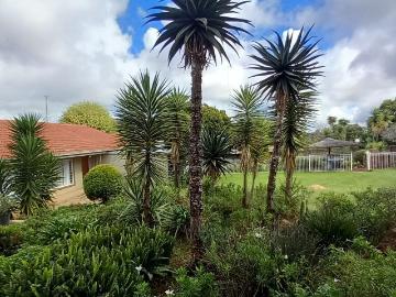 4 Bedroom House to Rent