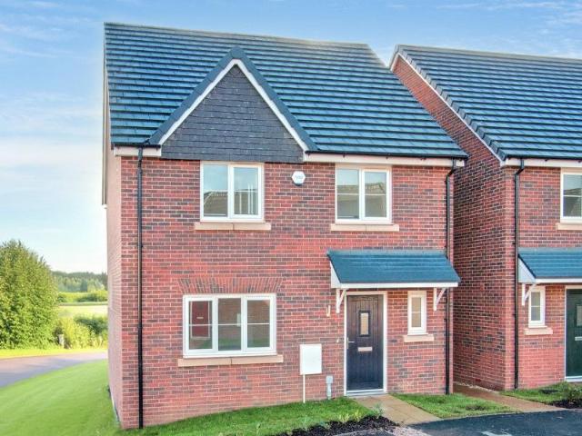 4 bedroom house to rent