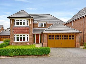 4 bedroom house to rent